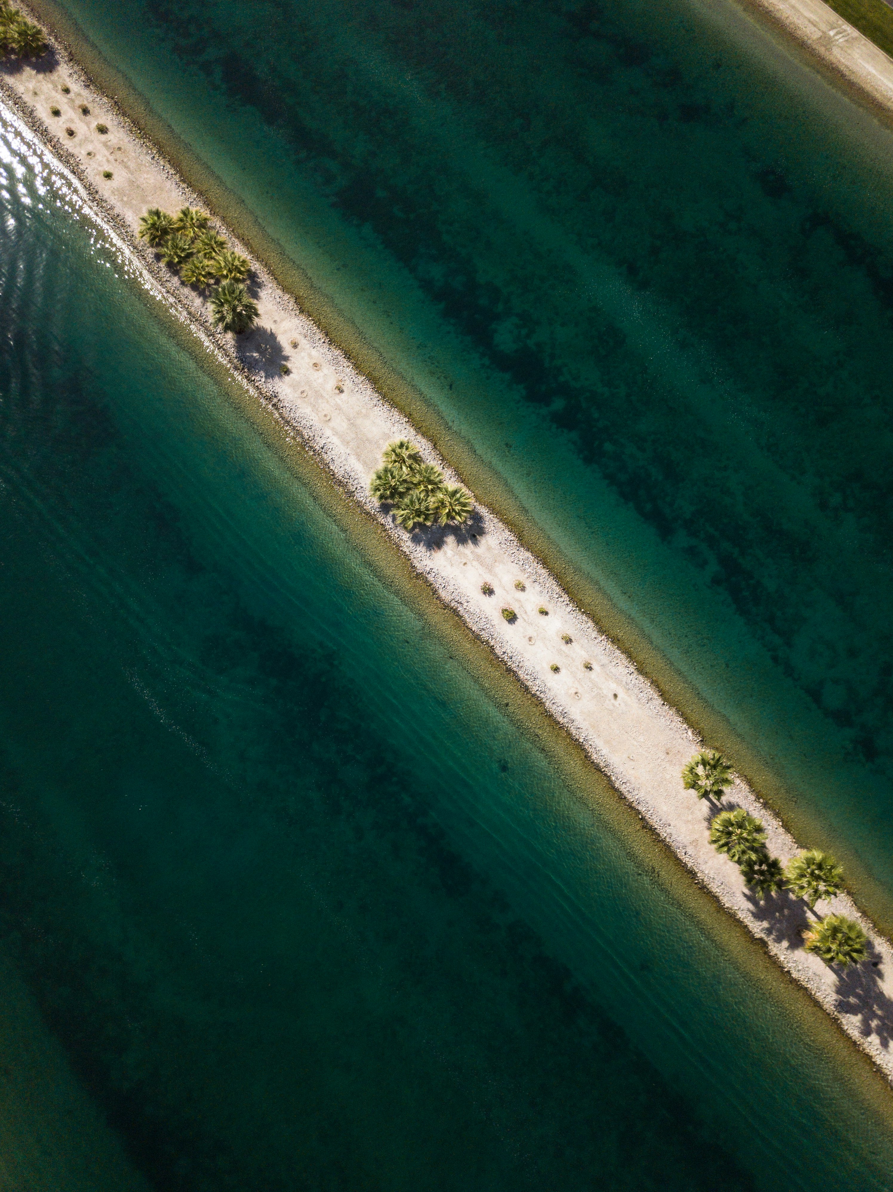 aerial view of body of water and green leafed trees